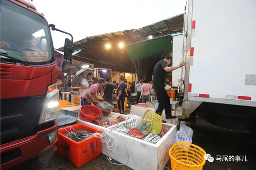 普惠金融推進(jìn)月 活水涌向水產(chǎn)與百貨，農(nóng)批貸精準(zhǔn)紓困解難題