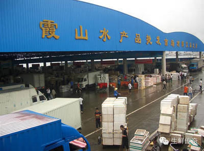 讓天下沒(méi)有難賣(mài)的魚(yú)蝦！探秘中國(guó)主要水產(chǎn)品批發(fā)市場(chǎng)
